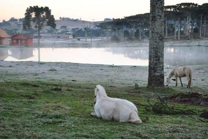 Refugio Do Lago Lages Exterior foto