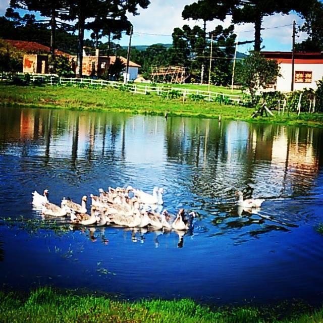 Refugio Do Lago Lages Exterior foto